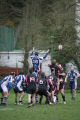 RUGBY CHARTRES 215.JPG